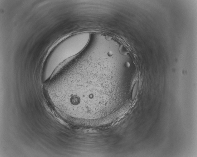 X0000083560146200702231612