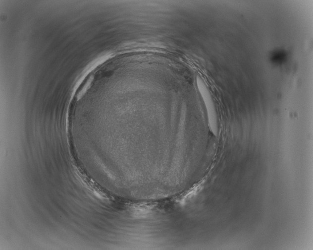 X0000083560148200702231612