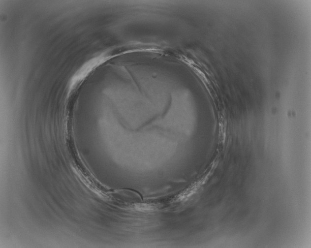 X0000083560149200702231612