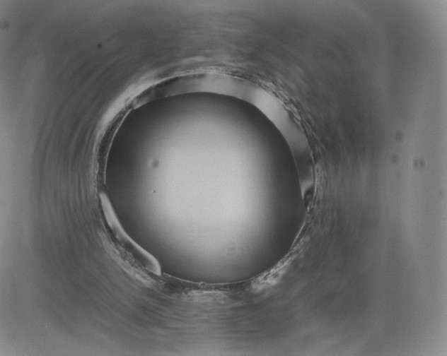 X0000083560150200702231613