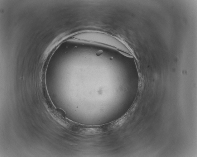 X0000083560151200702231613