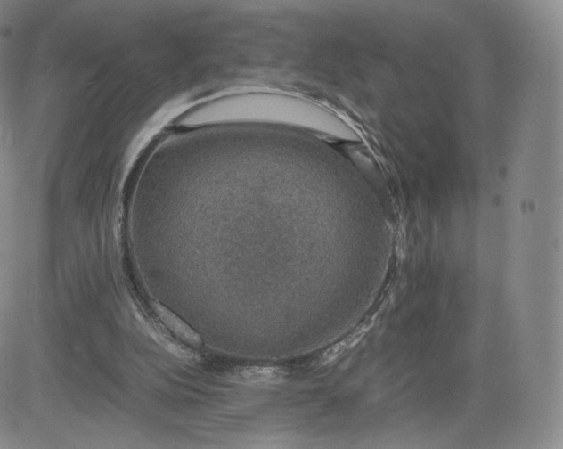 X0000083560152200702231613