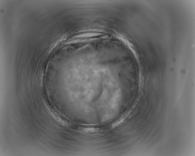 X0000083560153200702231613