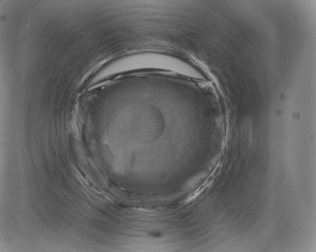 X0000083560154200702231613