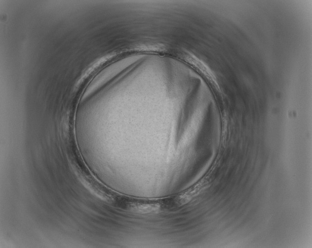 X0000083560155200702231613