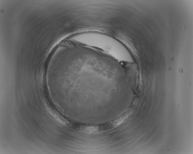 X0000083560156200702231613