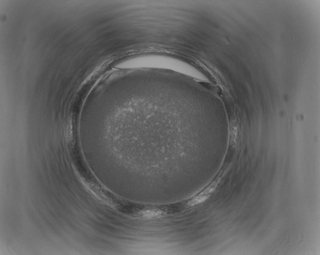 X0000083560158200702231613