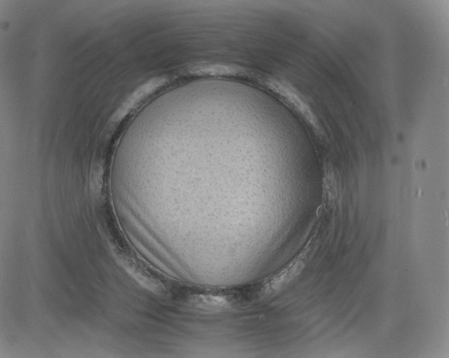 X0000083560159200702231613