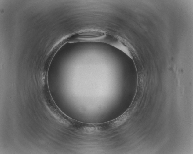 X0000083560160200702231613