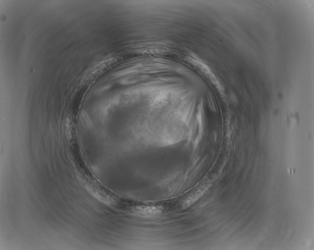 X0000083560161200702231613