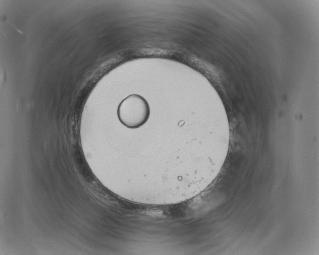 X0000083560162200702231613