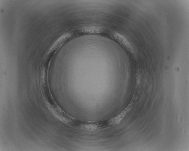 X0000083560163200702231613