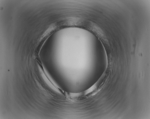 X0000083560164200702231613