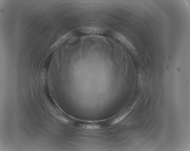 X0000083560165200702231613