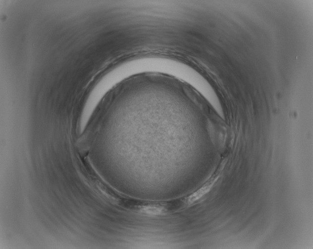 X0000083560168200702231613