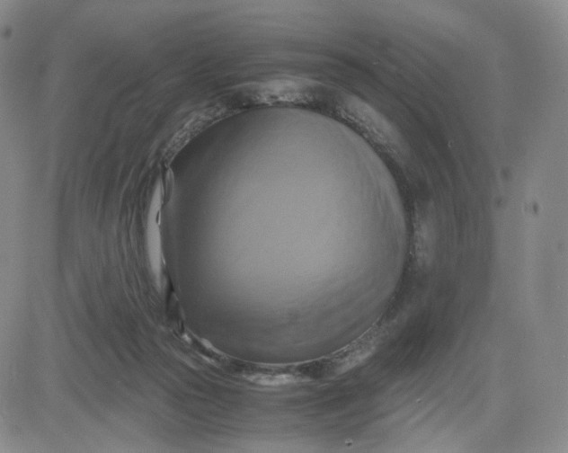 X0000083560169200702231613