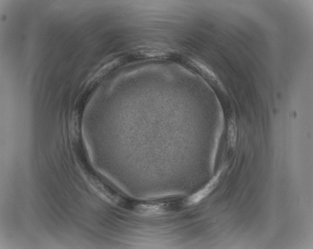 X0000083560170200702231613