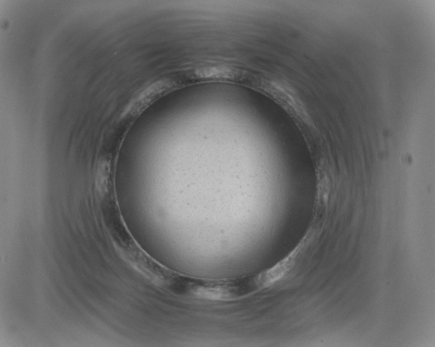 X0000083560171200702231613