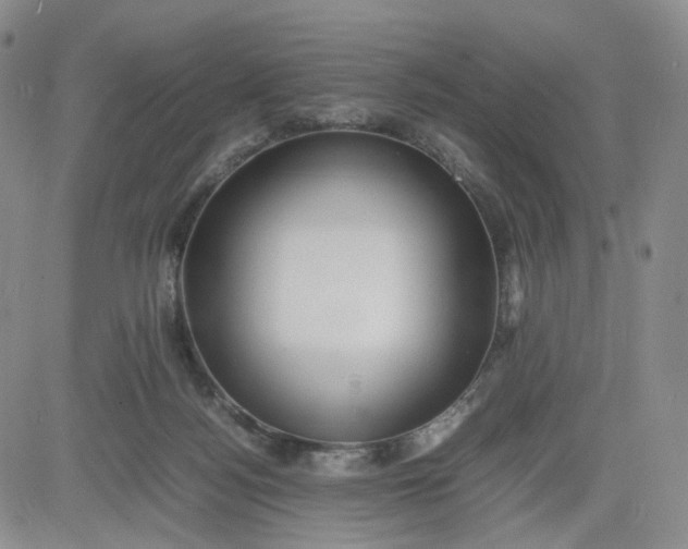 X0000083560172200702231613