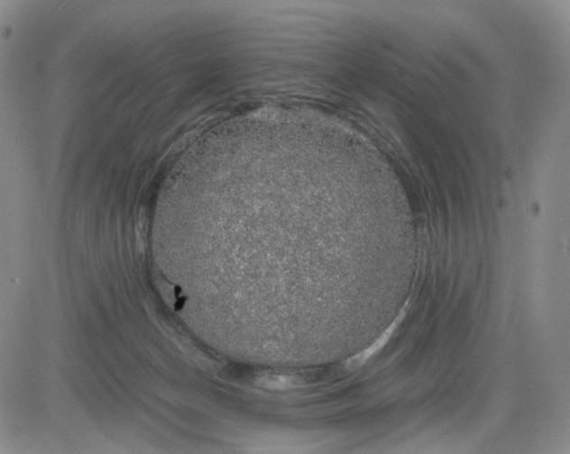 X0000083560174200702231613