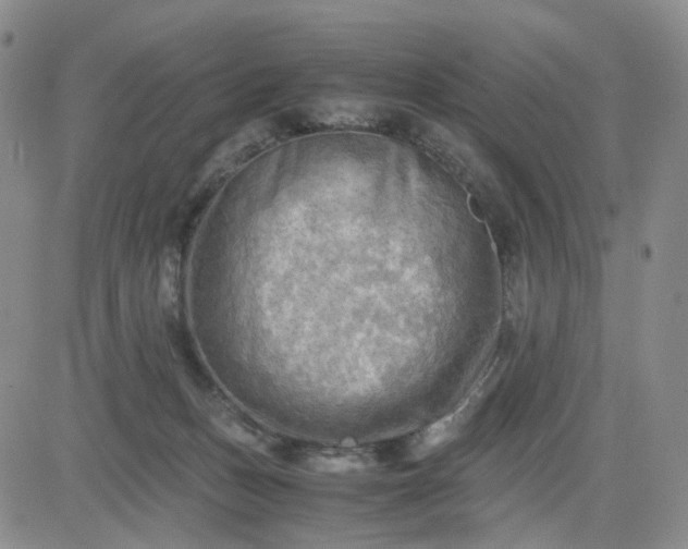 X0000083560175200702231613