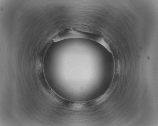 X0000083560176200702231613