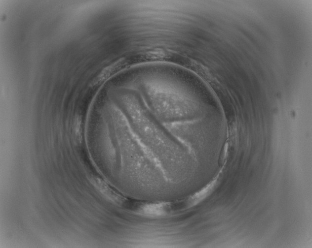 X0000083560178200702231613