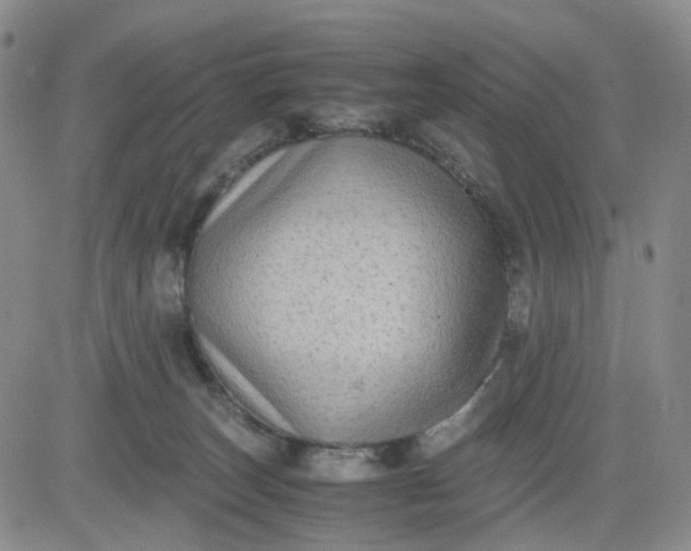 X0000083560179200702231613