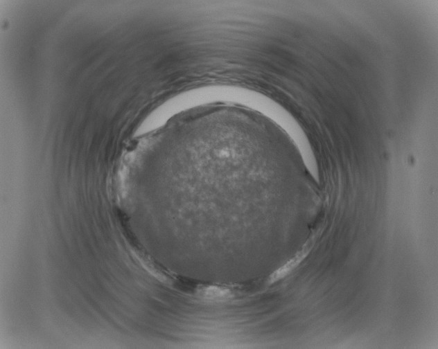 X0000083560180200702231613