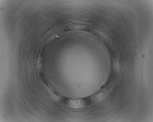 X0000083560181200702231613