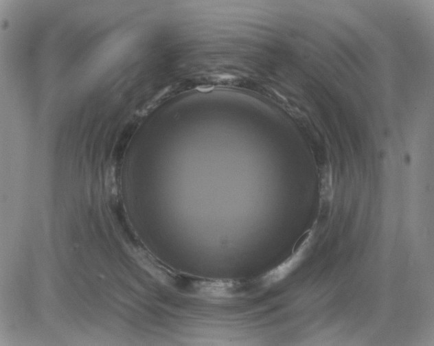 X0000083560182200702231613