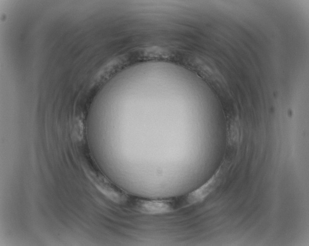 X0000083560183200702231613