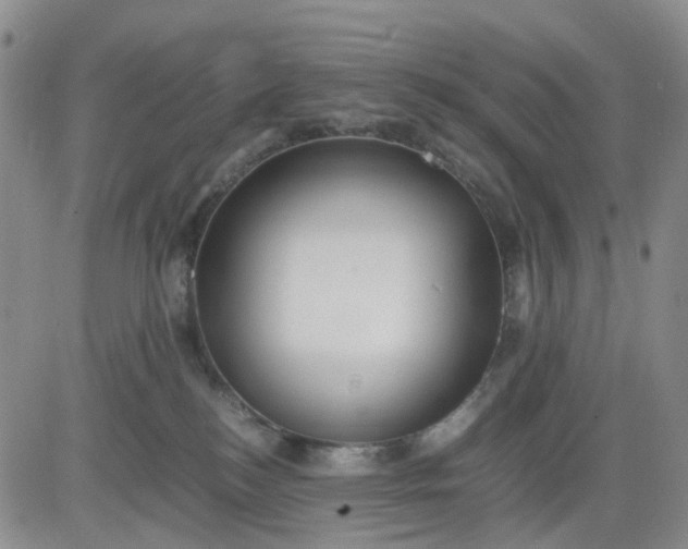 X0000083560184200702231613