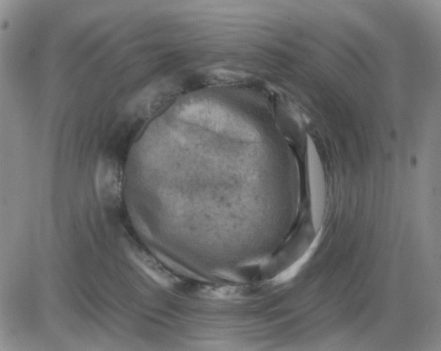 X0000083560186200702231613