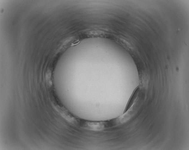 X0000083560187200702231613