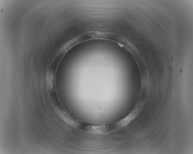 X0000083560188200702231613