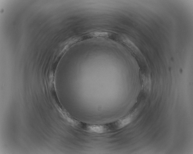 X0000083560189200702231613