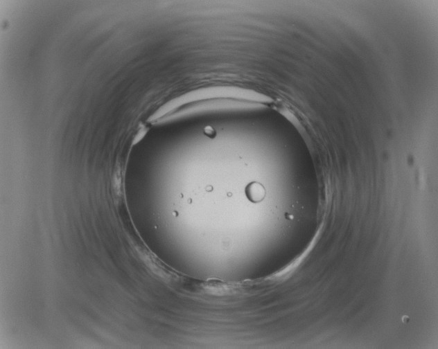 X0000083560190200702231613