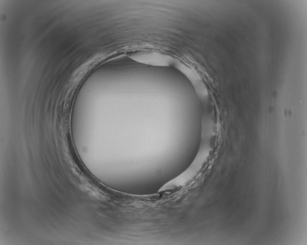 X0000083560193200702231612