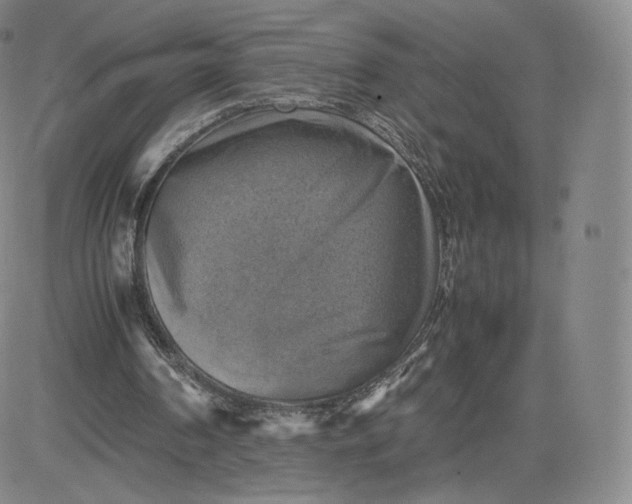 X0000083560194200702231612