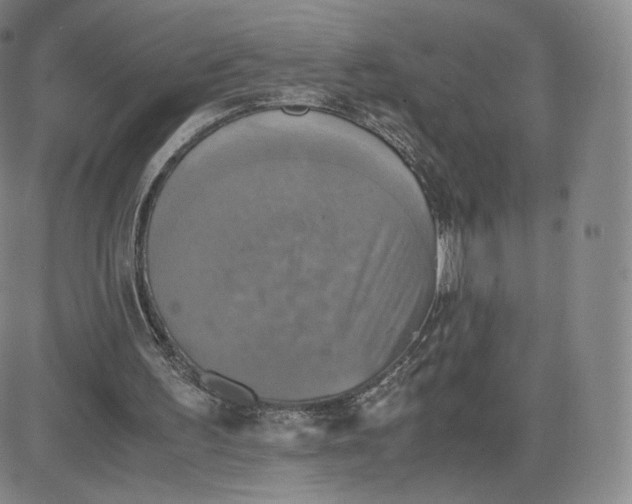 X0000083560195200702231612