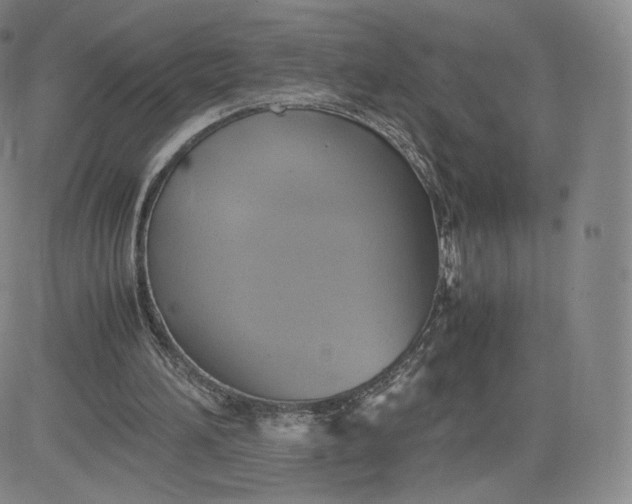 X0000083560196200702231612