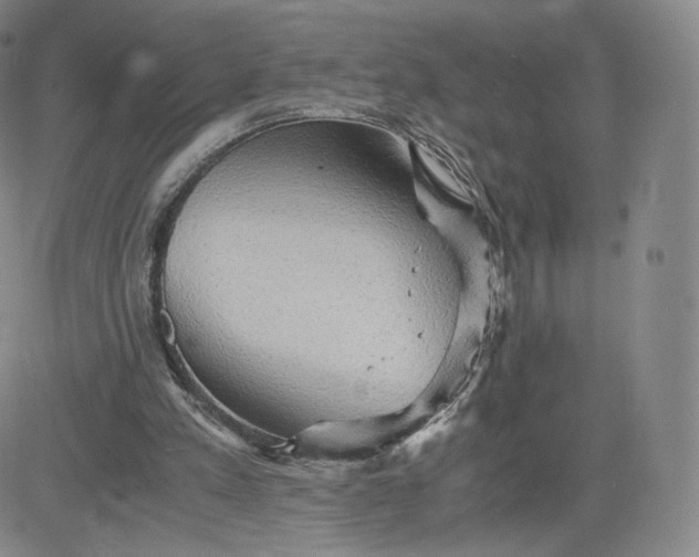 X0000083560197200702231612