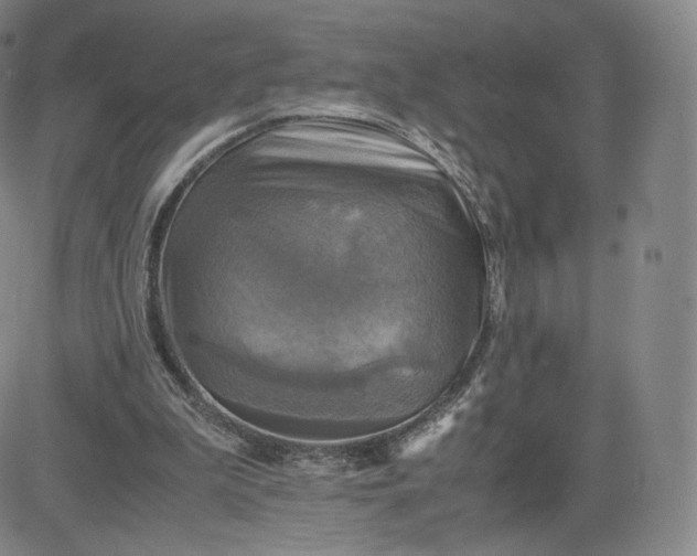 X0000083560199200702231612