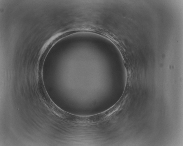 X0000083560200200702231612