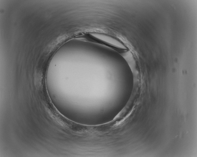 X0000083560201200702231612