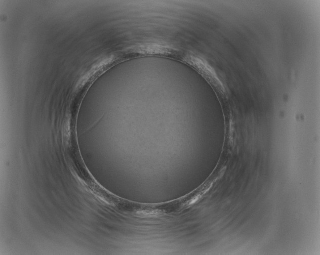 X0000083560202200702231612