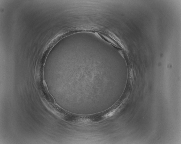 X0000083560203200702231612