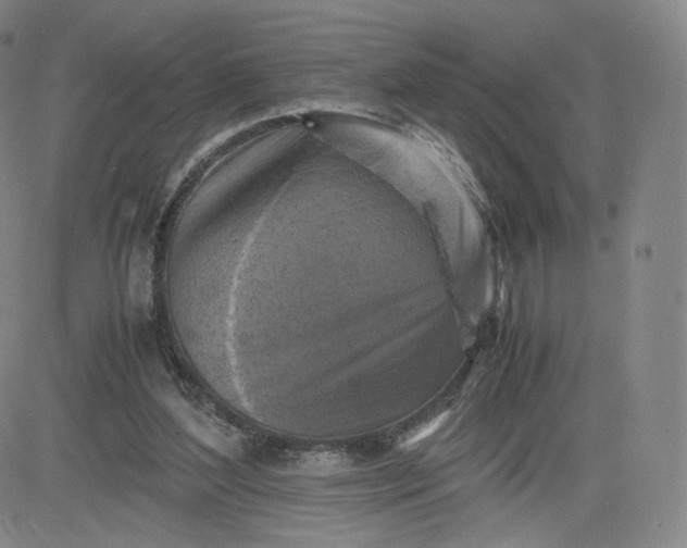 X0000083560204200702231612