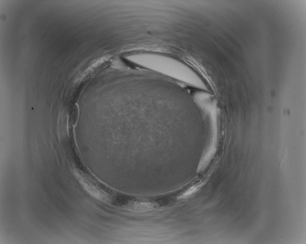 X0000083560205200702231612